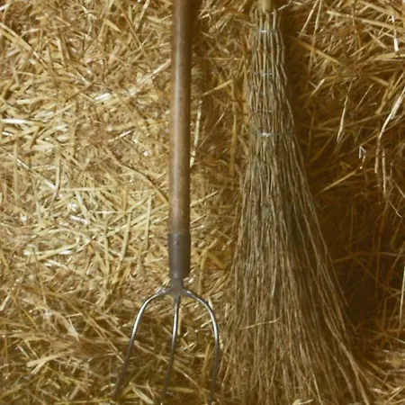 Agriturismo Corte Ghiara