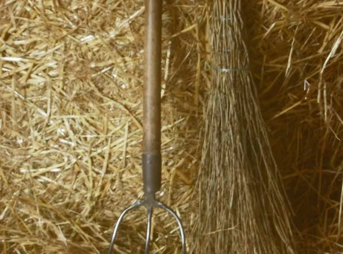 Agriturismo Corte Ghiara